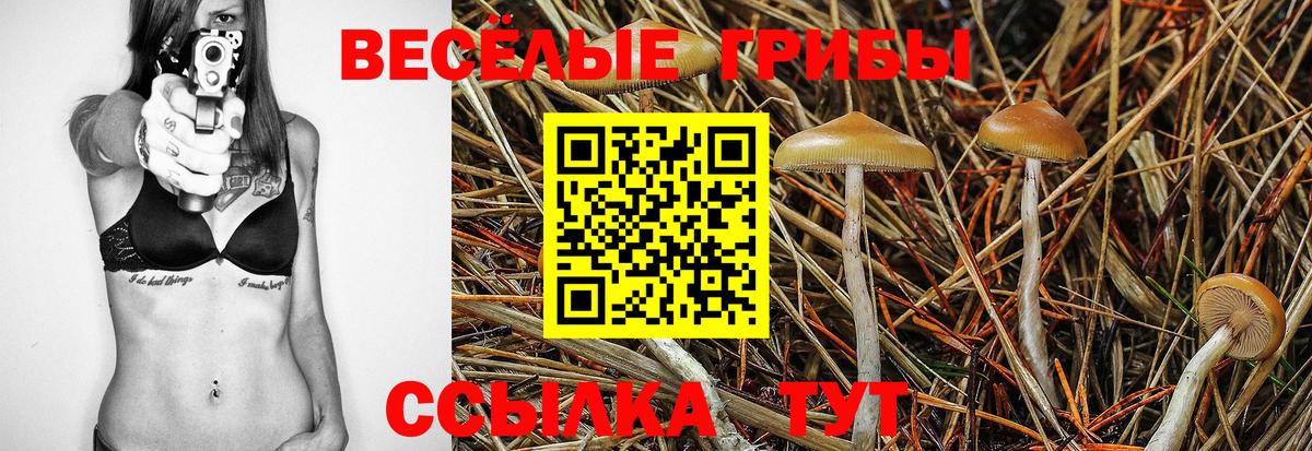 Галлюциногенные грибы мицелий Надым